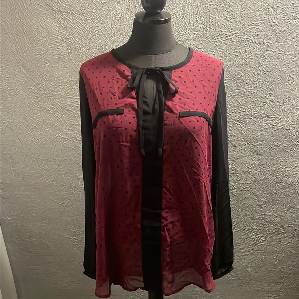 Women's Black and Red Polka Dot Blouse